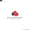 Raspberry. Logo template